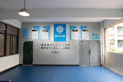 職社融合雙向奔赴 重慶電子工程職業(yè)學(xué)院以信息技術(shù)咨詢服務(wù)破解社會(huì)服務(wù)難題