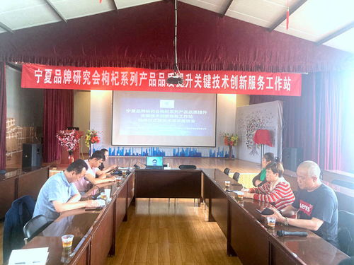 寧夏枸杞產(chǎn)業(yè)迎來(lái)技術(shù)革新 品牌研究會(huì)品質(zhì)提升創(chuàng)新服務(wù)工作站掛牌，信息技術(shù)賦能產(chǎn)業(yè)升級(jí)